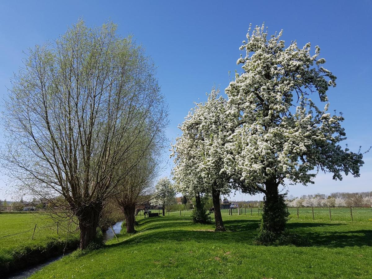 Meschermolen Exteriér fotografie